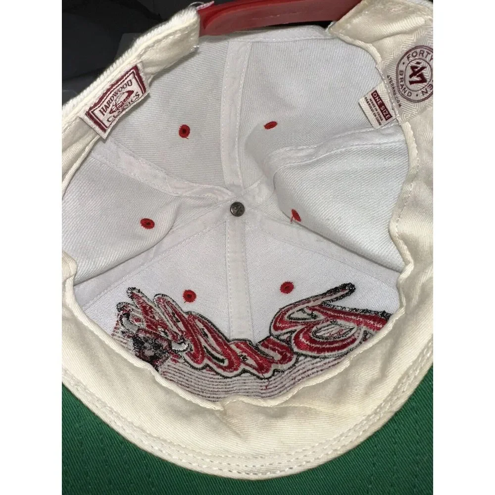 vintage hardwood classics chicago bulls Basketball NBA hat snapback cap 90s Rare